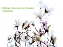 ПРЕЗЕНТАЦИЯ НА ТЕМУ Самые древние растения планеты