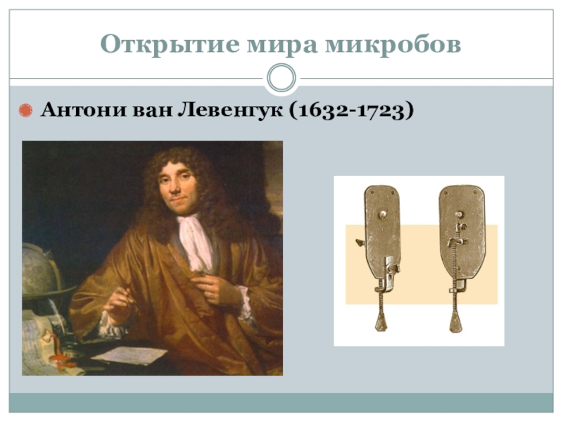 Открытие ван левенгука. Антони Ван Ле́венгук (1632—1723 ). Антони Ван Левенгук открытия. Антони Ван Левенгук (1632-1723) рисунки. Антони Ван Левенгук вклад в микробиологию.