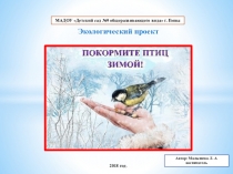 Презентация Экологический проект Покормите птиц зимой