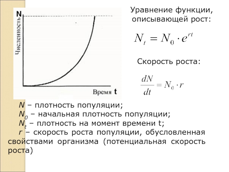 Уравнение функции, описывающей рост:Скорость роста: N – плотность популяции;N0 – начальная плотность популяции;Nt – плотность на момент