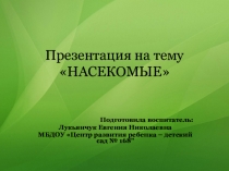 Презентация для средней группы Насекомые