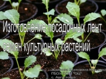 Презентация к занятию по экологии Изготовление посадочных лент семян культурных растений