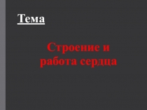 Презентация к уроку Строение и работа сердца