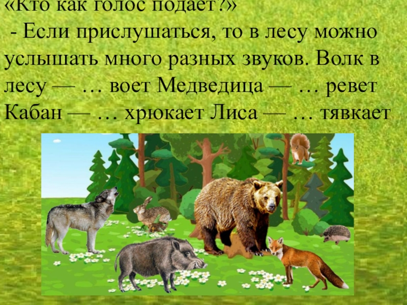 В лесу можно. Кто как голос подает. Как подают голос Дикие животные. Кто как голос подает Дикие животных. Картинки кто как голос подает.