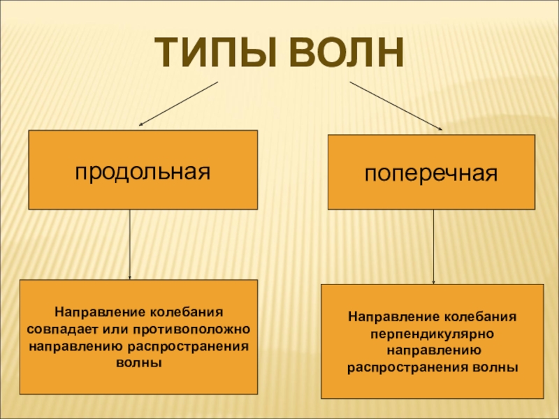 Поперечное направление. Продольные и поперечные волны примеры. Виды волн продольные и поперечные. Продольное направление.