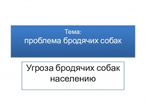 Мини проект ребенка Угроза бродячих собак населению