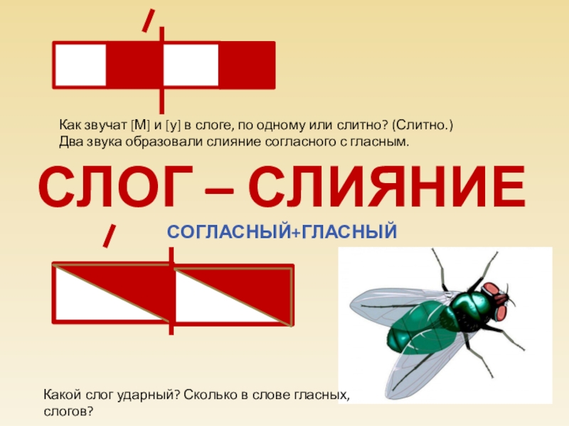 Схема слогов. Слоги слияния. Слова со слогами слияниями. Слоги слияния 1 класс. Слияние звуков.