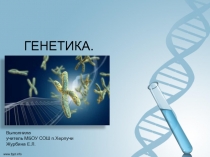 Презентация по биологии на тему Основные понятия генетики (9 класс).