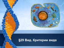 Презентация по биологии на тему Вид и видообразование (9 класс)