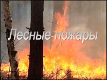 Лесной пожар. Меры безопасности. Последствия и итоги поведения человека в окружающей среде.