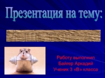 Презентация по окружающему миру на тему Мышь полевка