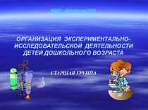 Организация экспериментально-исследовательской деятельности детей дошкольного возраста