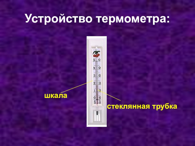 Термометр окружающий мир 2 класс презентация