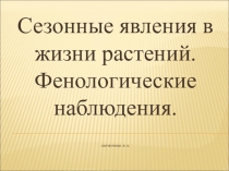 Презентация по биологии на тему Сезонные изменения в жизни растений