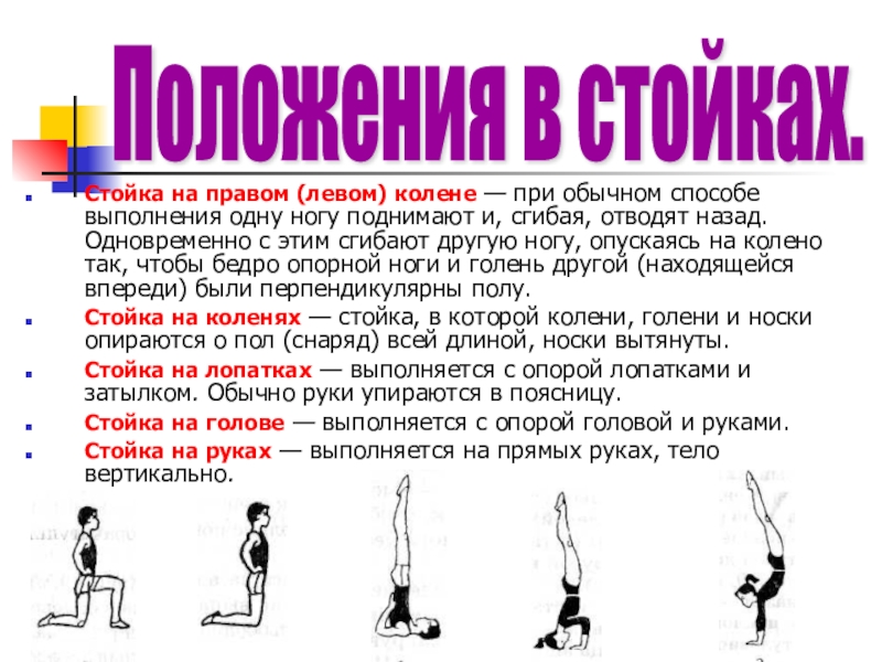 Реферат упражнения. Стойки в гимнастике. Стойка на правом колене. Стойка на правом (левом) колене. Стойка на голове согнув ноги.