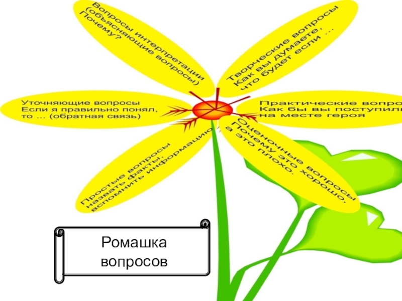 Ромашка вопросов. Цветок Ромашка с вопросами. Ромашка с вопросами Ромашка. Ромашка 5 вопросов.