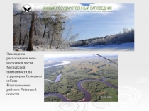 Презентация по математике на тему Окский заповедник