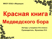 Презентация по окружающему миру на тему Красная книга Медведского бора (4 класс)