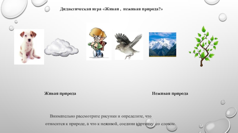 Знакомство С Неживой Природой В Старшей Группе