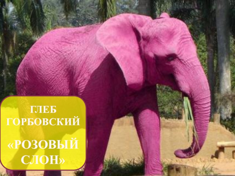 Детские песни розовый слон