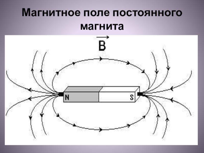 На рисунке изображено расположение силовых линий магнитного поля полосового магнита где находятся