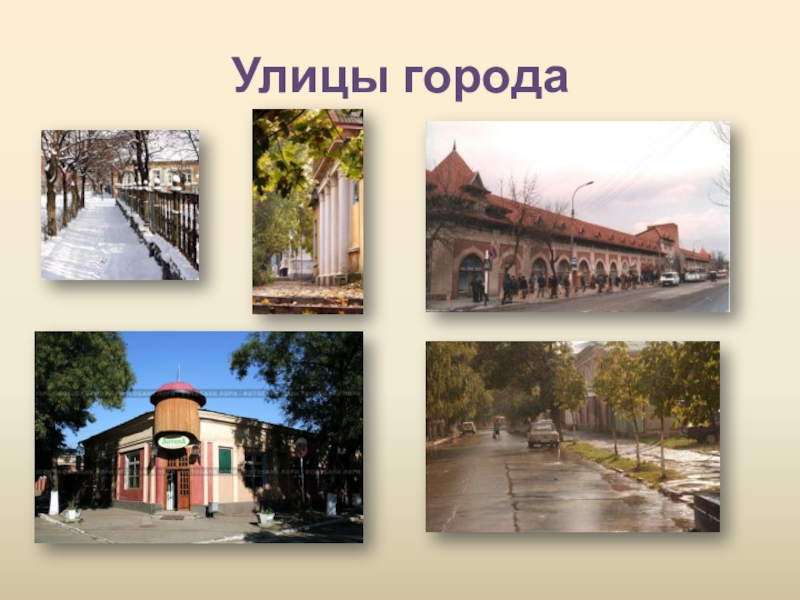 Презентация улицы моего города