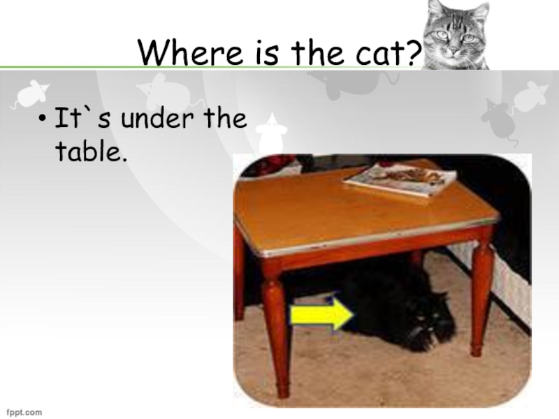 Where is the table. The Cat is under the Table. Where is the Cat. There is a Cat under the Table.. The Cat is the Table.