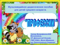 Мультимедийное пособие Профессии взрослых
