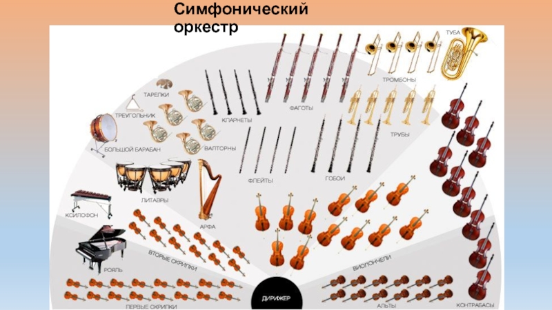 Знакомство С Инструментами Симфонического Оркестра Для Детей