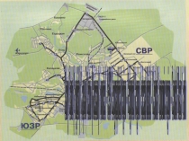 Мой родной город