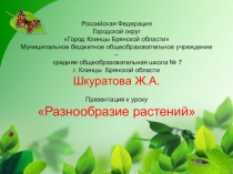 Презентация к уроку окружающего мира на тему Разнообразие растений (3 класс) на школьный конкурс Учитель года 2014