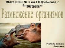 Презентация по биологии на тему Размножение организмов (10 класс)
