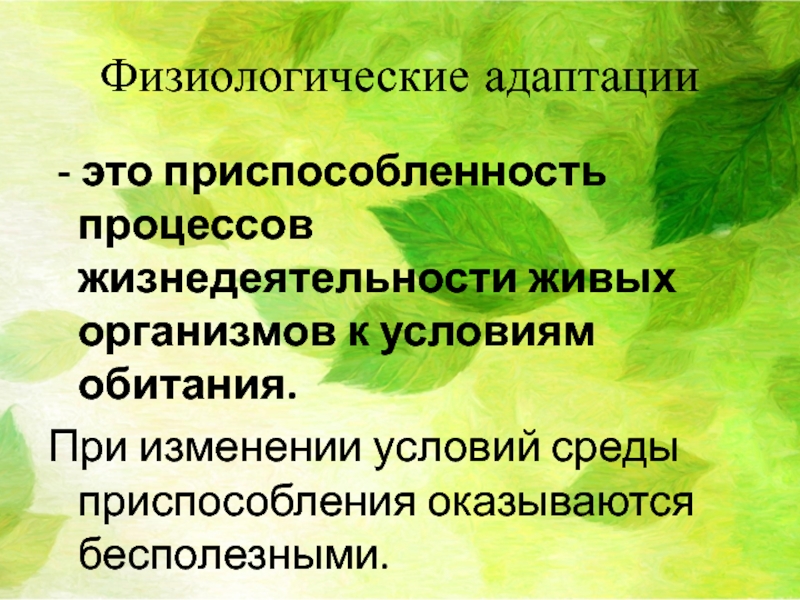 Приспособленность организмов к действию факторов среды презентация 9 класс