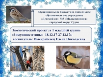 Экологический проект: в 1 младшей группе Зимующие птицы .