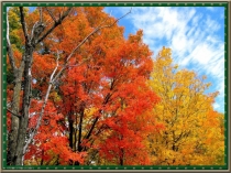 Презентация к уроку математики на темуСостав числа 14.Поиск закономерностей