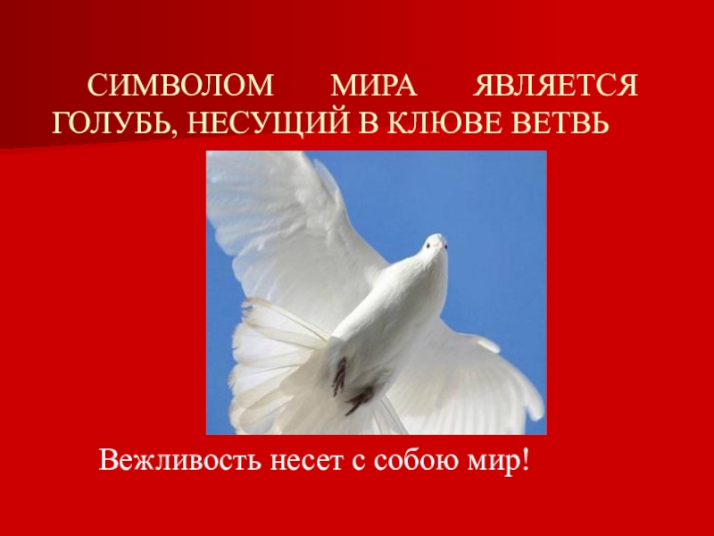 Что символизирует мир. Символ мира является голубь. Что является символом мира. Символ мира и примирения. Голубь несет мир.