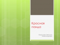 Презентация по окружающему миру на тему Красна панда (3 класс)