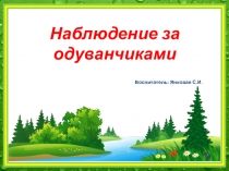 Презентация: Наблюдение за одуванчиком (подготовительная группа)