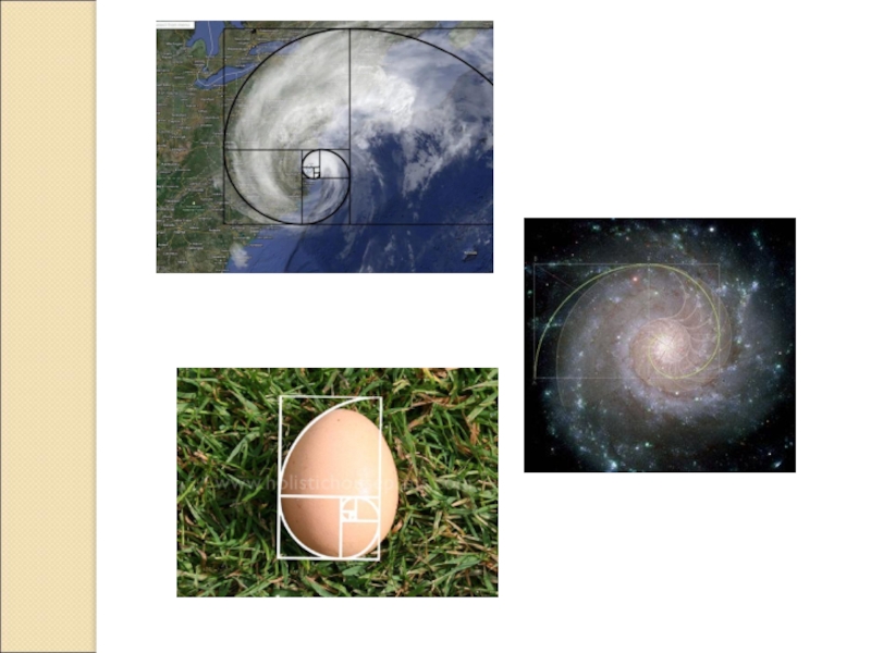 Гармония золотого сечения проект