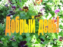 Презентация к родительскому собранию Наполним милосердием сердца