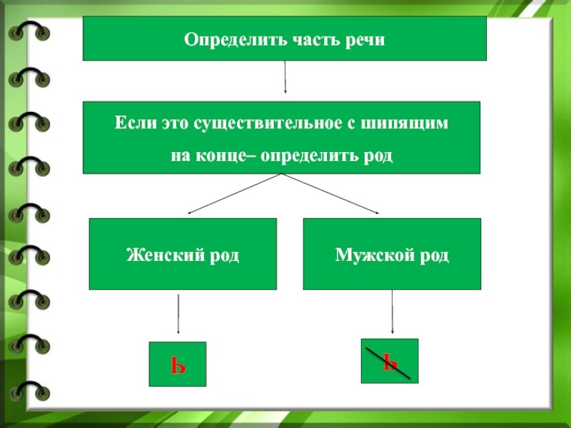 Определенное существительное это. Существительные мужского и женского рода с шипящими на конце. Существительные женского рода с мягким знаком после шипящих. Правописание существительных с шипящей на конце 3 класс. Существительные с шипящими на конце 3 класс карточки.