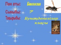 Биология пәнінен ашық сабақ Бунақденелілер классы (7 сынып)