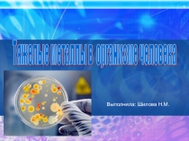 Презентация по биологии на тему Тяжелые металлы в нашем организме