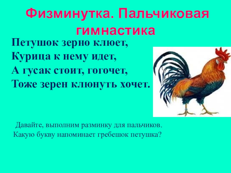 Загадка крылатый горластый. Физкультминутка петух. Паоьсиковая гимнпстика петушру. Физминутка про петуха для детей. Пальчиковая гимнастика петушок.