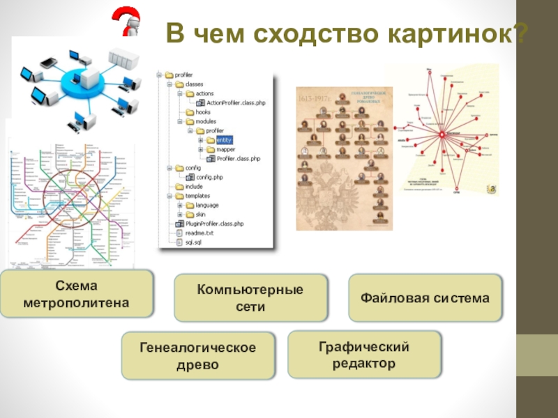 Сходный рисунок территориальной структуры хозяйства имеют