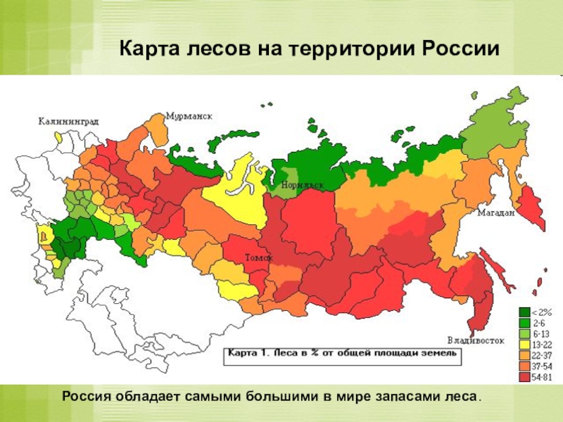 Карта лесов россии онлайн