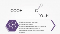 Презентация по химии Одноосновные карбоновые кислоты (10 класс)