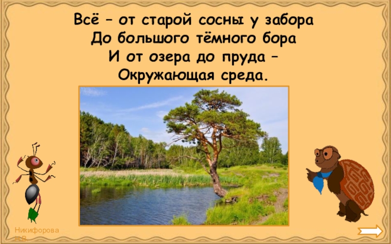 У старой сосны основная мысль. Все от старой сосны у забора до большого темного Бора.