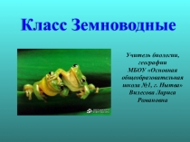 Презентация по биологии Земноводные (7 класс)