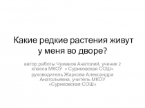 Презентация по окружающему миру по теме Какие редкие растения живут у меня во дворе?